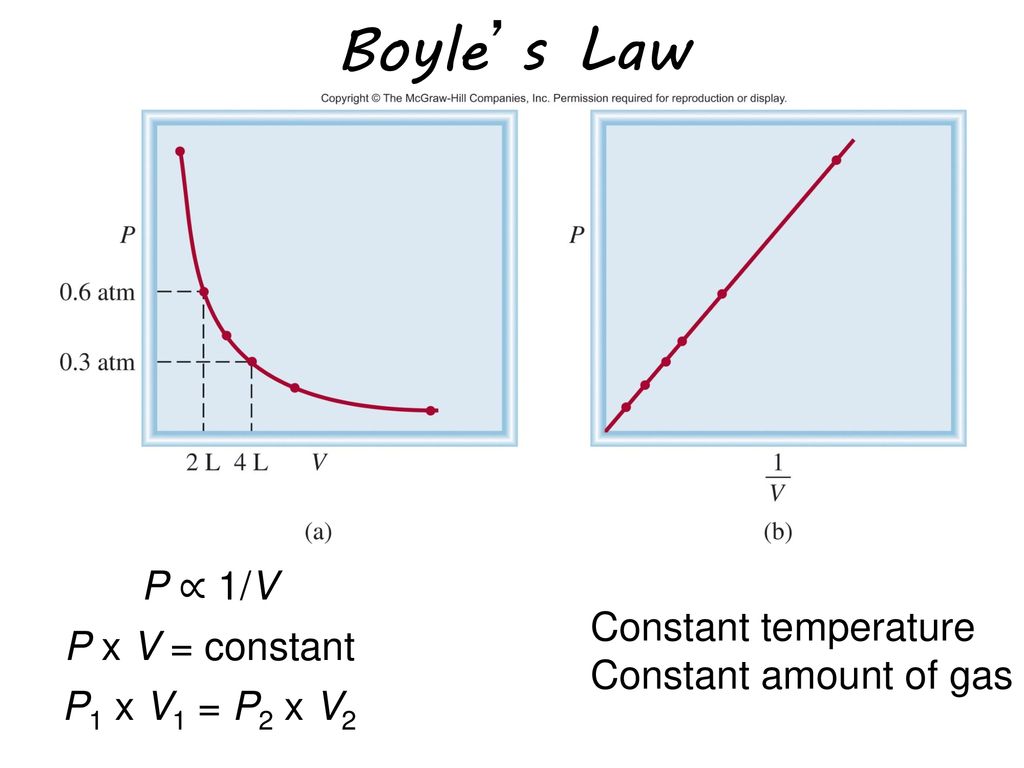 The Gas Laws Ppt Download