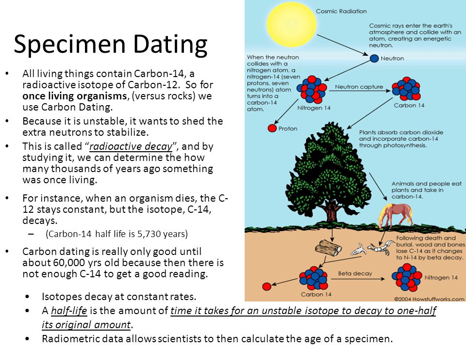how long is carbon dating good for dating opposite political views