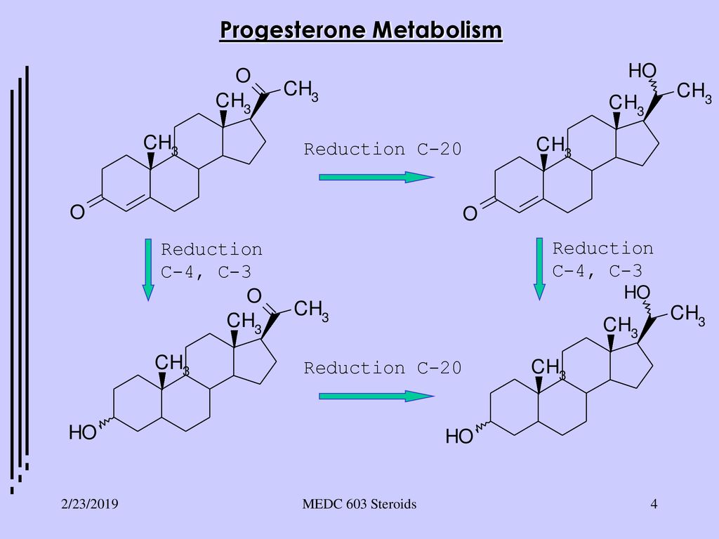 Progesterone Metabolism