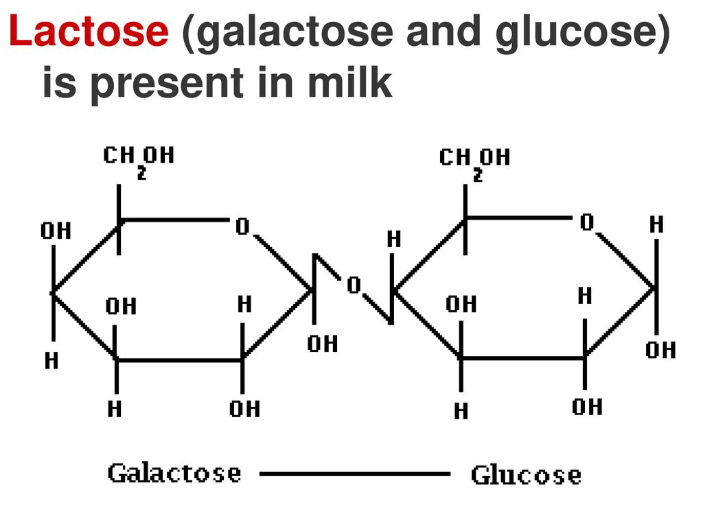 Лактоза применение. Лактоза. Лактоза молочный сахар. Лактоза картинки. Альфа лактоза.