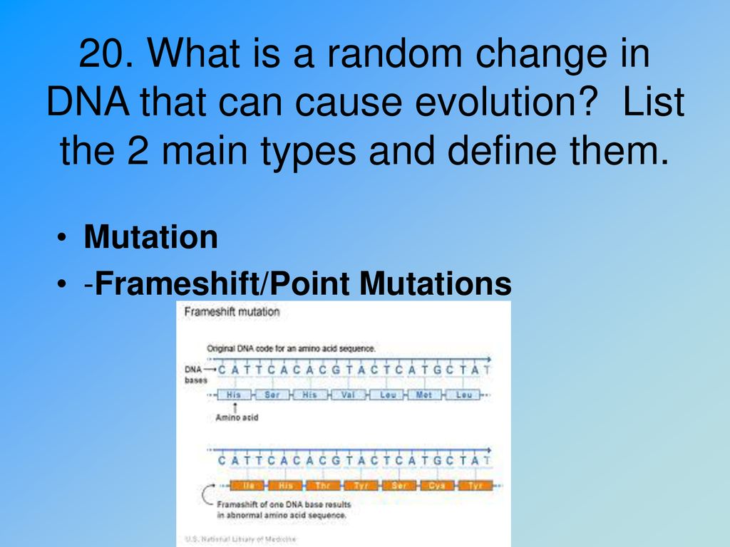 Evolution part ppt download