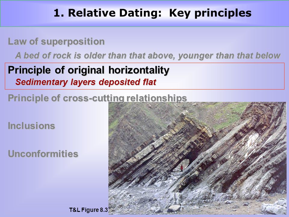 Which of the following principles are key to relative dating
