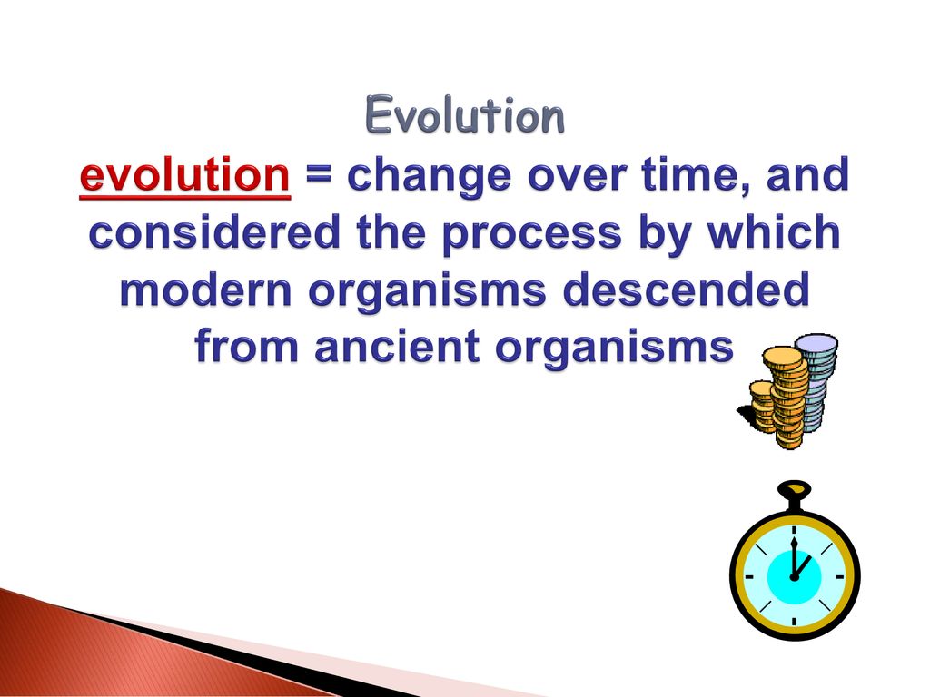 Organization of life ch ppt download