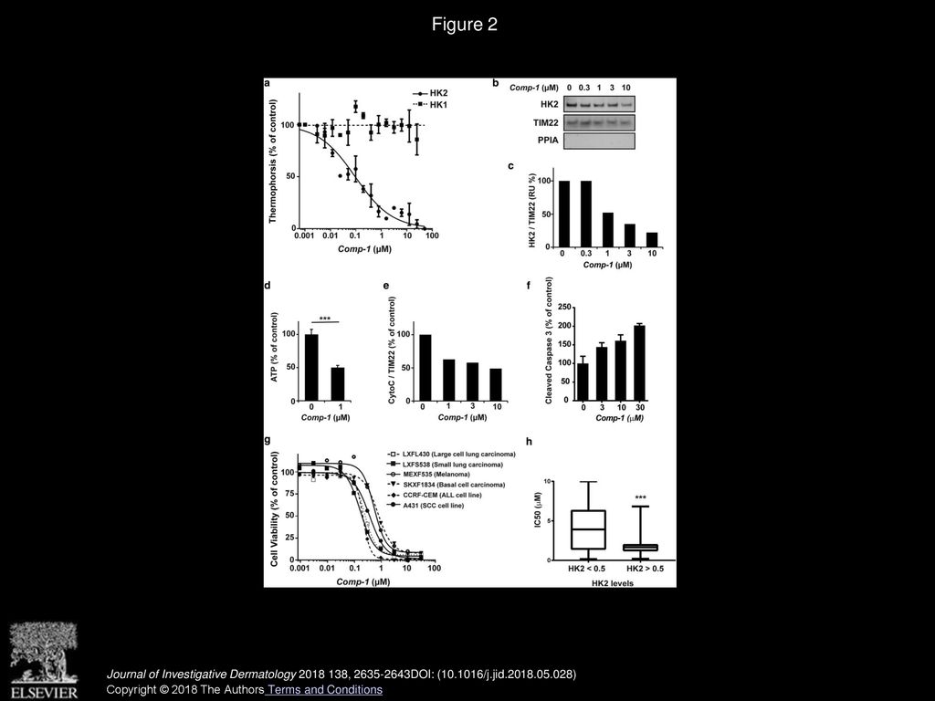 A Hexokinase 2 Modulator for Field-Directed Treatment of Experimental ...