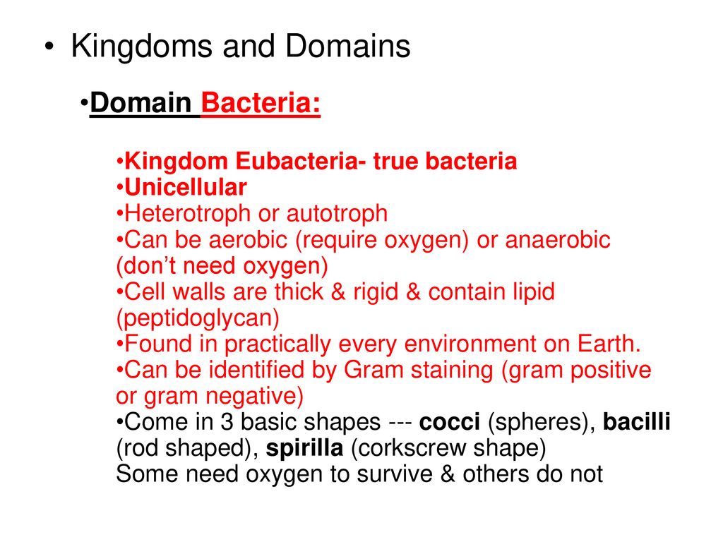 Classification Chapter 17-Pg ppt download