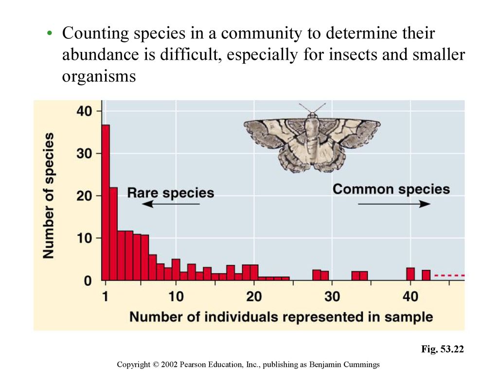 Counting species in a community to determine their abundance is difficult, especially for insects and smaller organisms