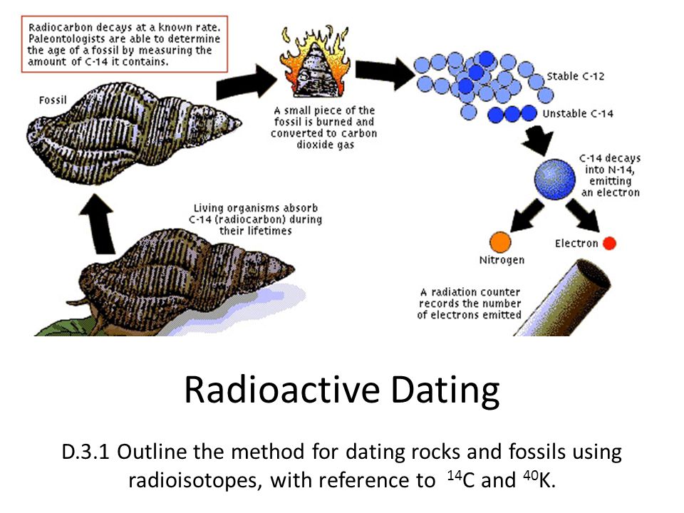 Radioactive Dating D.3.1 Outline the method for dating rocks and fossils us...