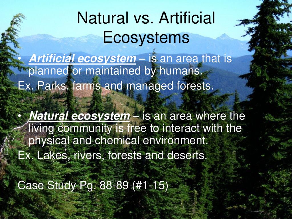 Example of artificial and natural ecosystem at mark lola blog