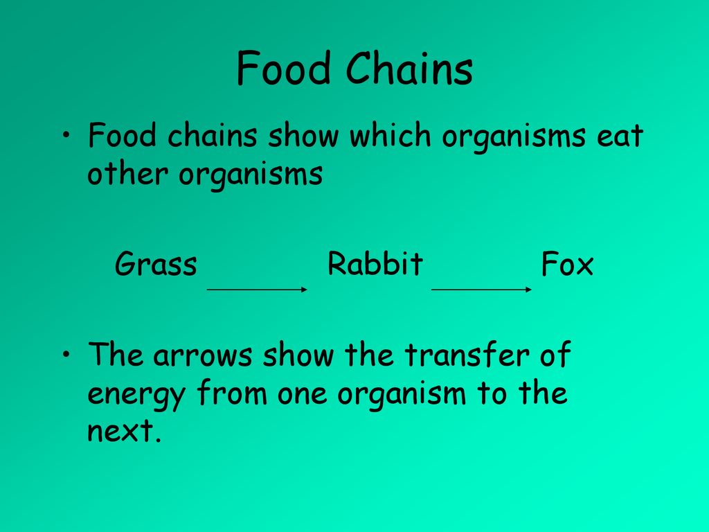 food-chains-food-chains-show-which-organisms-eat-other-organisms-ppt