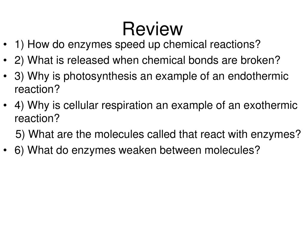 Enzymes. - ppt download