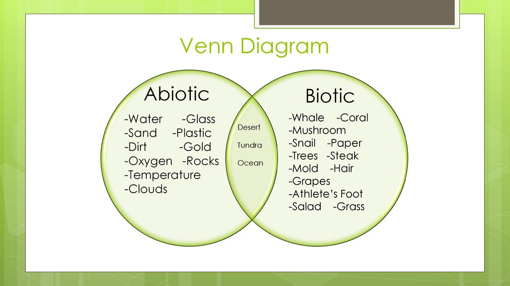 Biotic Abiotic Venn Diagram 6th Grade Science Biology Study