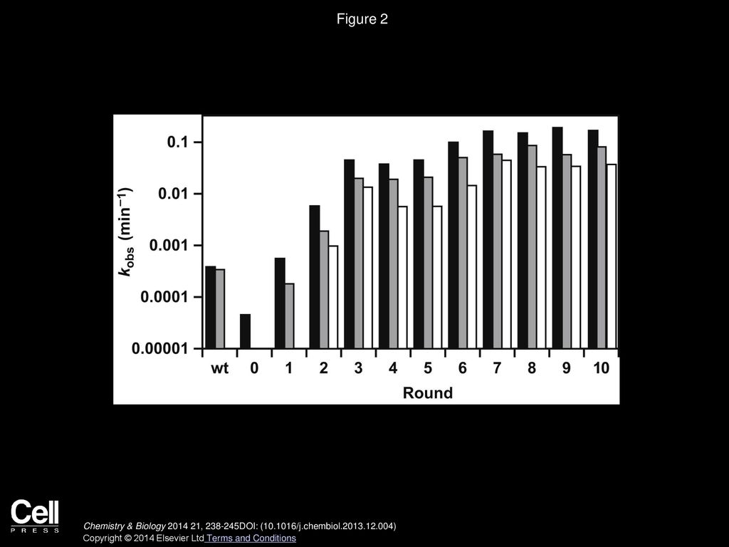 Figure 2 Assay of Ligation Activity for Successive Populations of Enzymes over the Course of In Vitro Evolution.