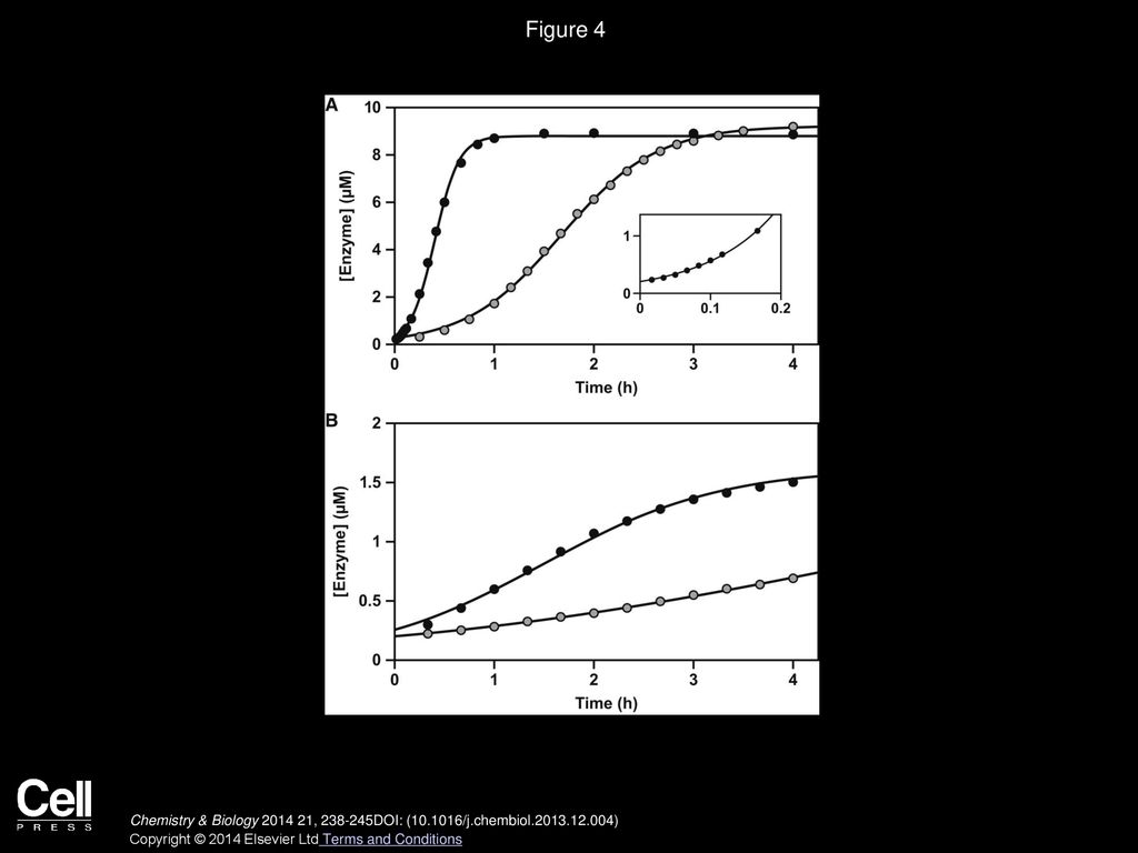 Figure 4 Self-Replication with Exponential Growth: Comparing the Starting and Evolved Enzymes.