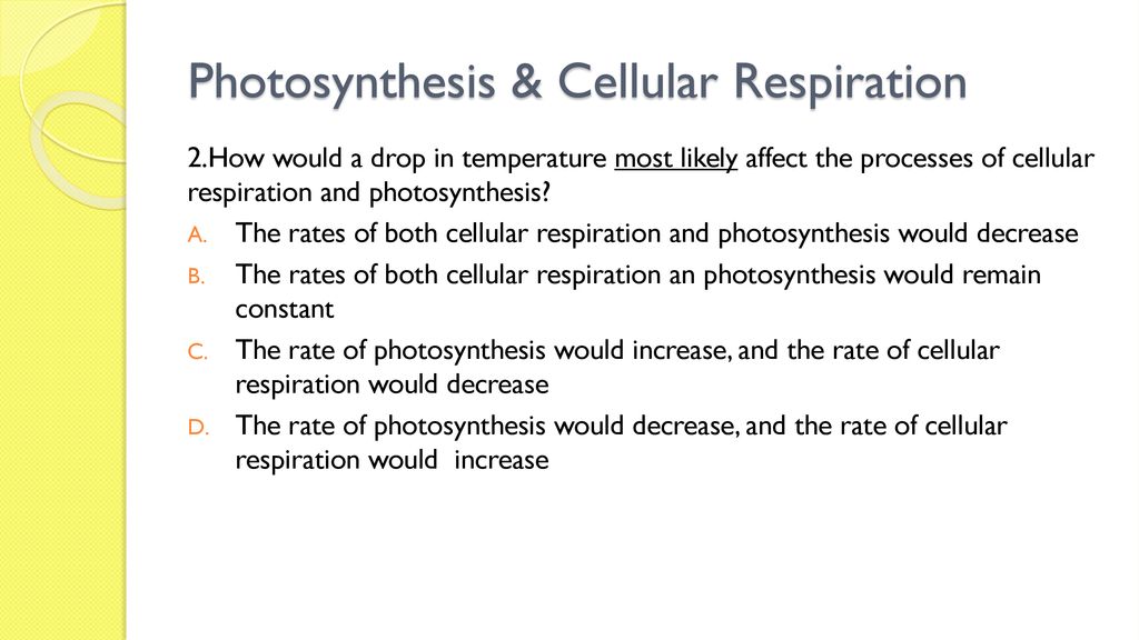 Photosynthesis Cellular Respiration Review Unit 3 Ppt Download photosynthesis-cellular-respiration-review-unit-3-ppt-download