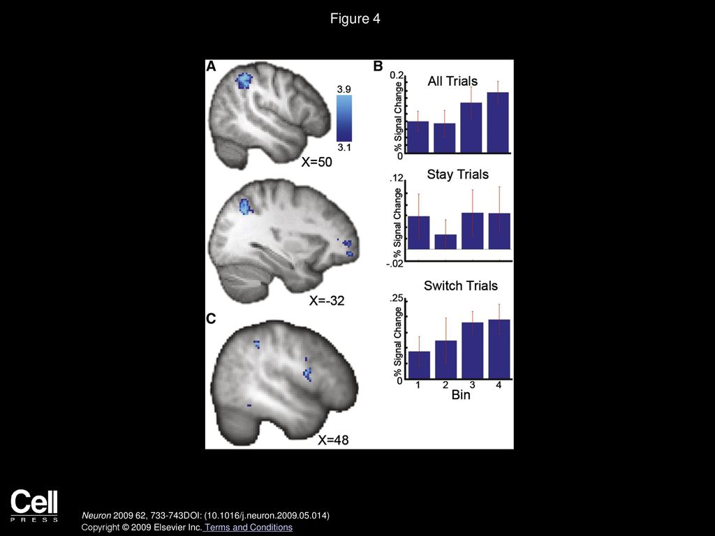 Figure 4 Functional Connectivity between FPC and Mid-IPS and Premotor Regions.