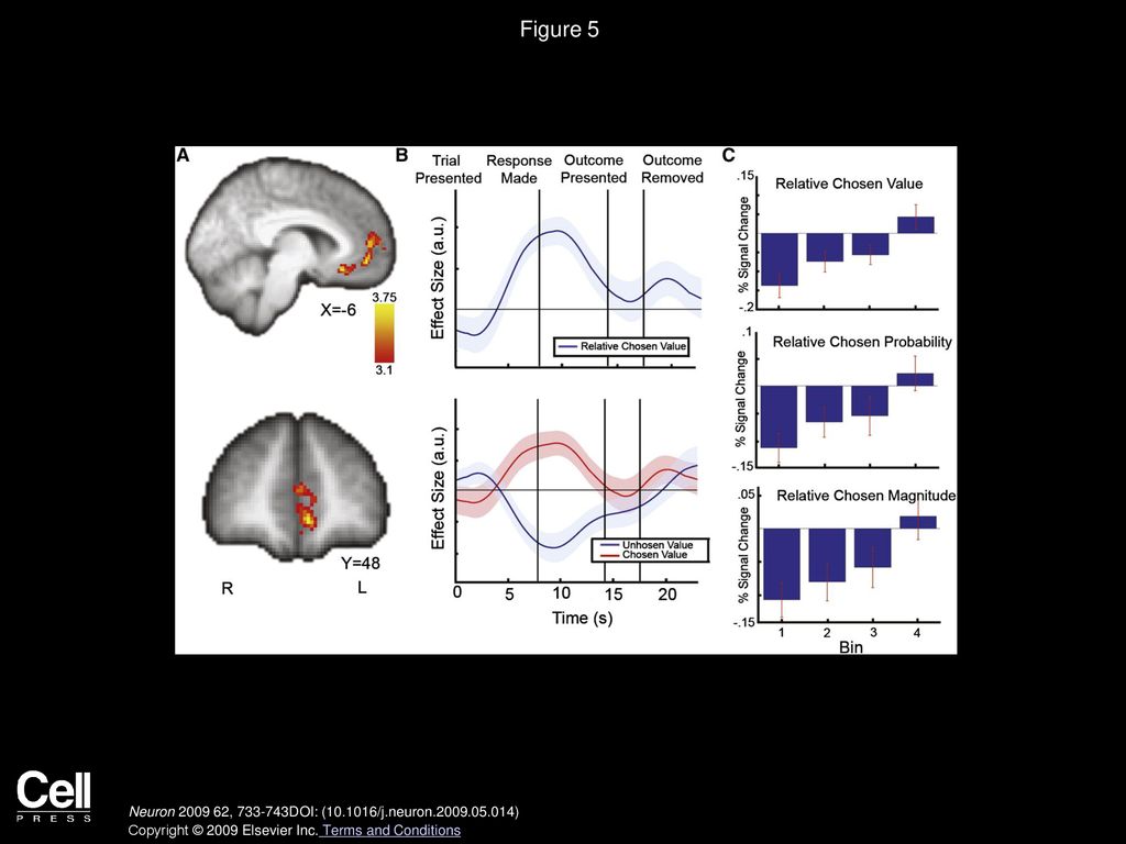 Figure 5 The Ventromedial PFC Encodes the Relative Chosen Value during the Decision-Making Phase.