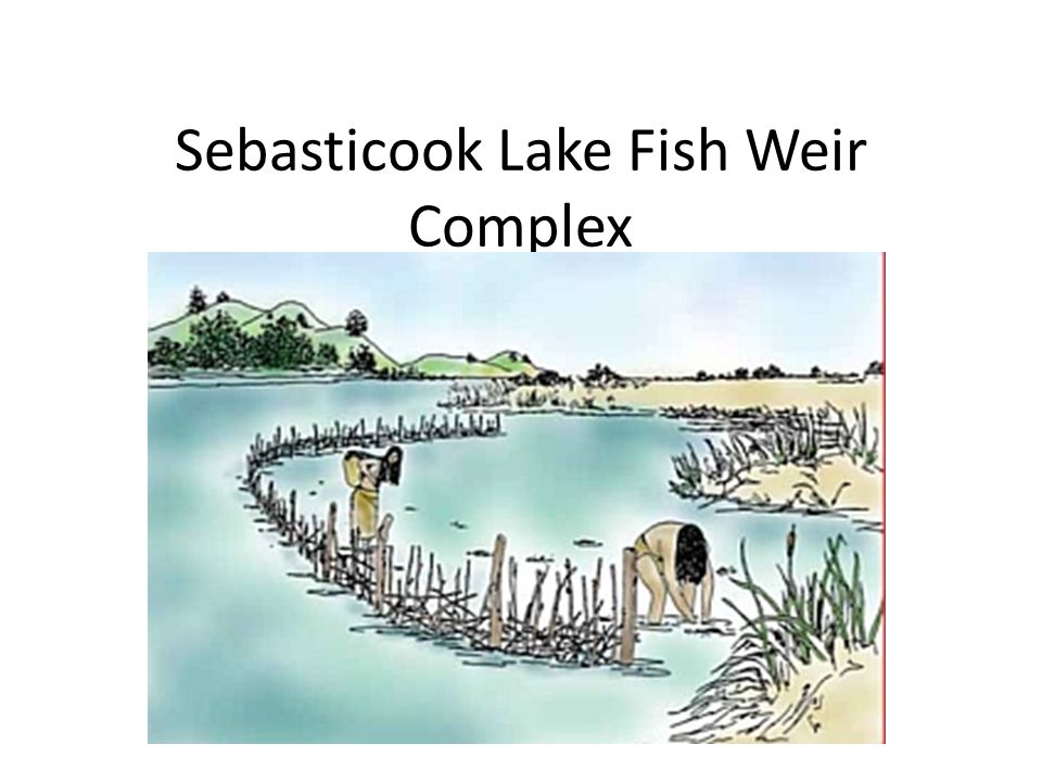 Sebasticook Lake Depth Chart