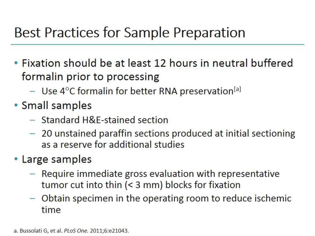 understanding-the-updated-guidelines-for-alk-testing-in-nsclc-ppt