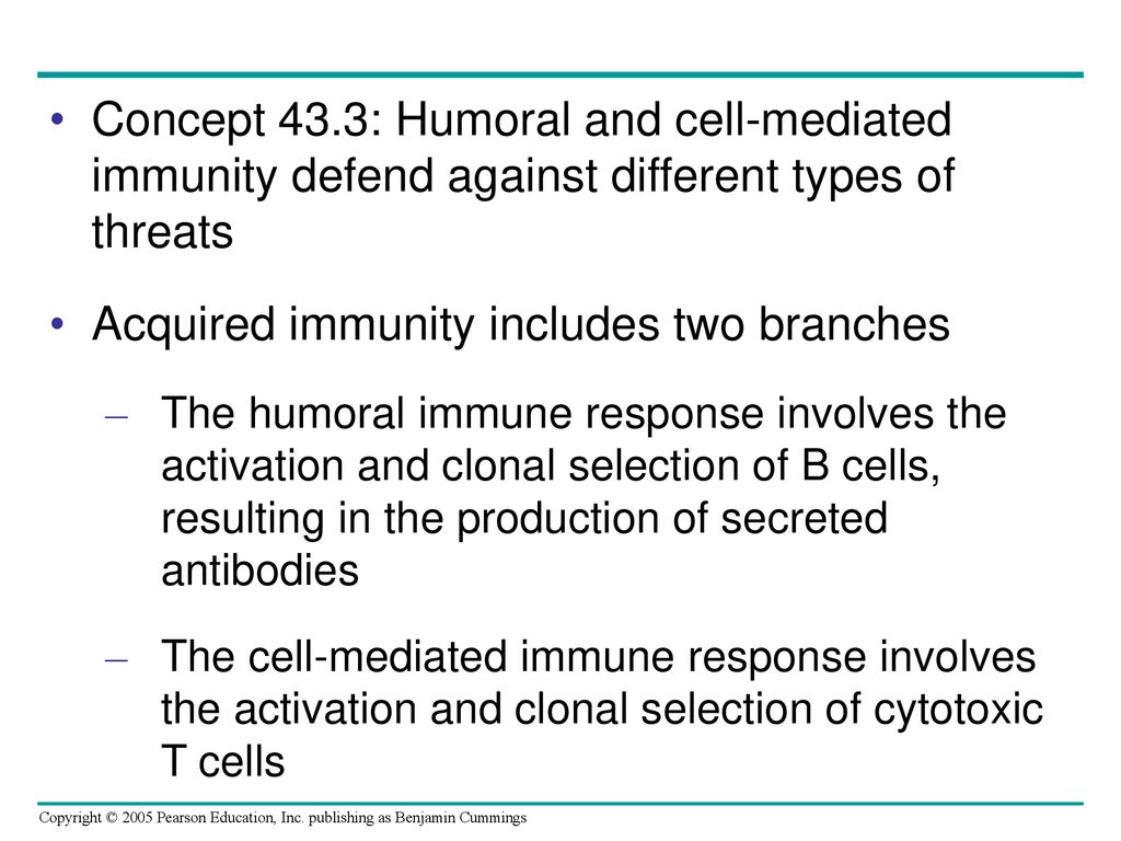 Chapter 43 The Immune System. - ppt download