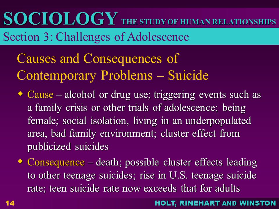 Causes and Consequences of Contemporary Problems – Suicide