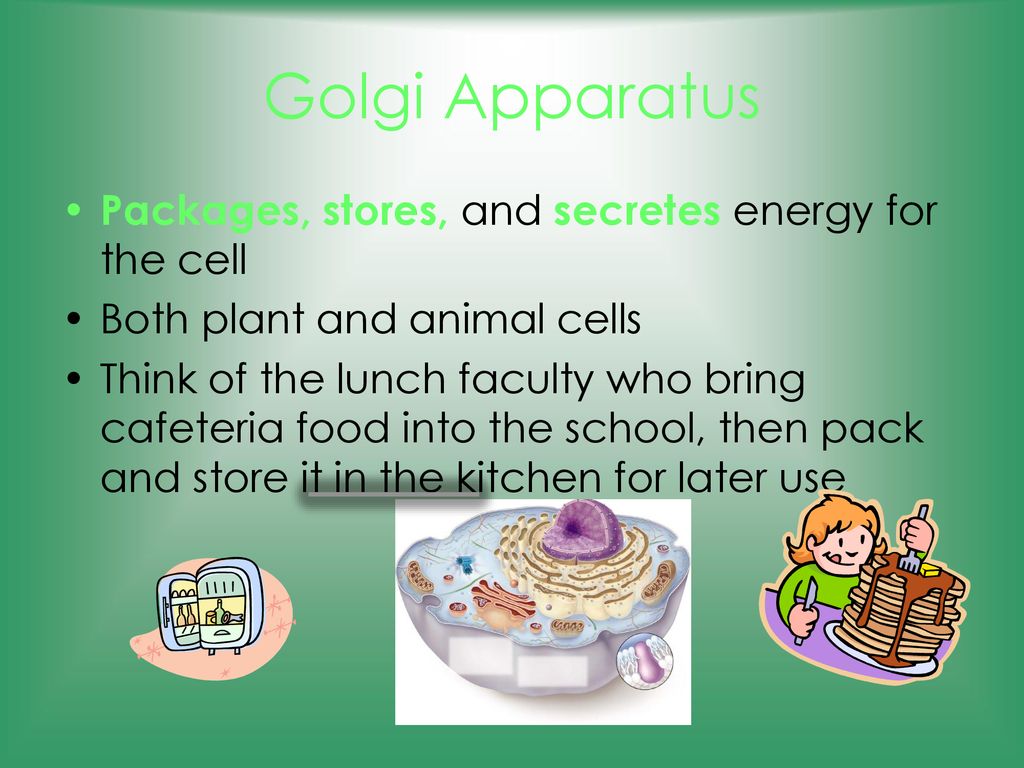 Cells, Cells, Cells Cells are the basic building block of life. Biology Diagrams