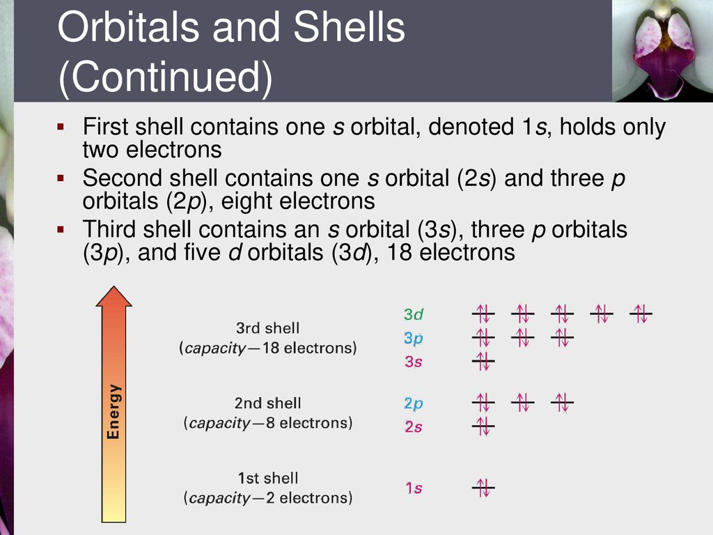Orbitals and Shells (Continued)