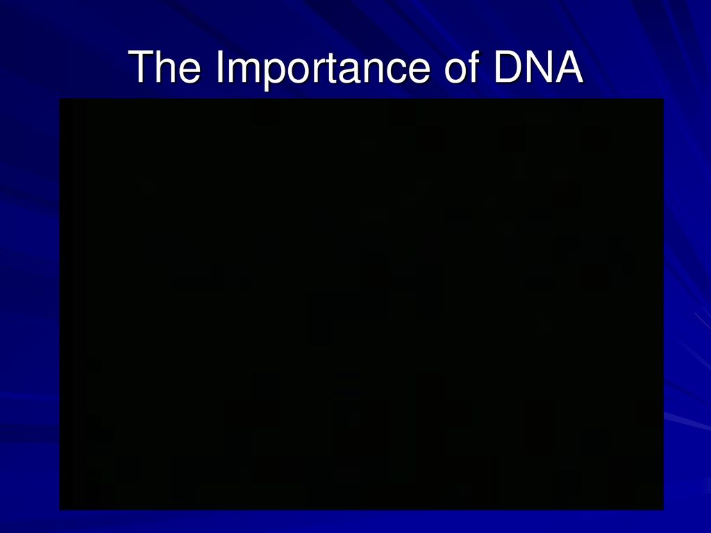 The Importance of DNA