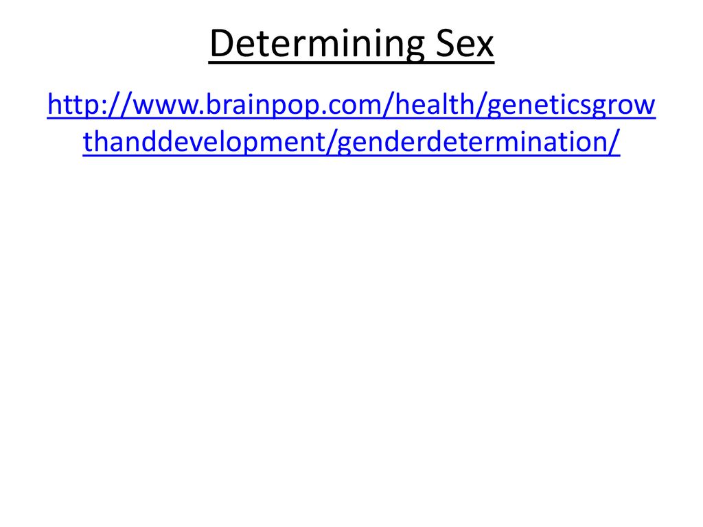 Determining Sex Ppt Download 2228