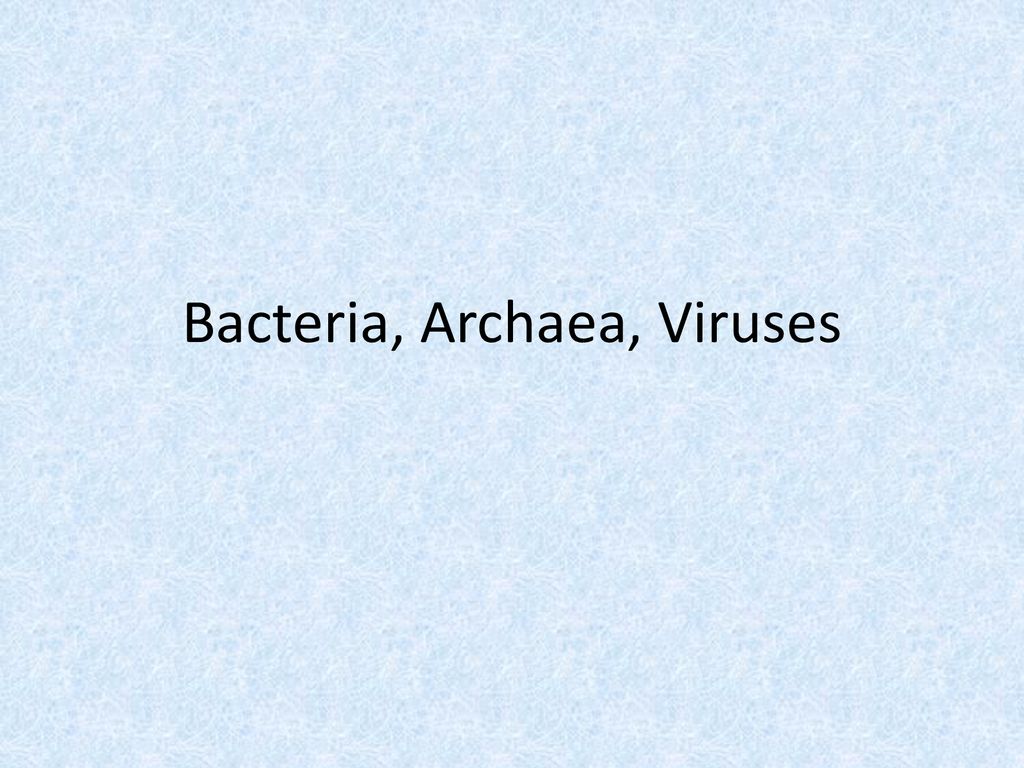 Bacteria, Archaea, Viruses