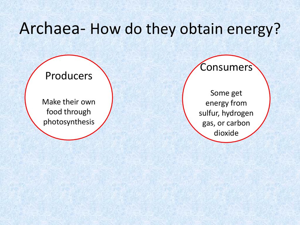 Archaea- How do they obtain energy