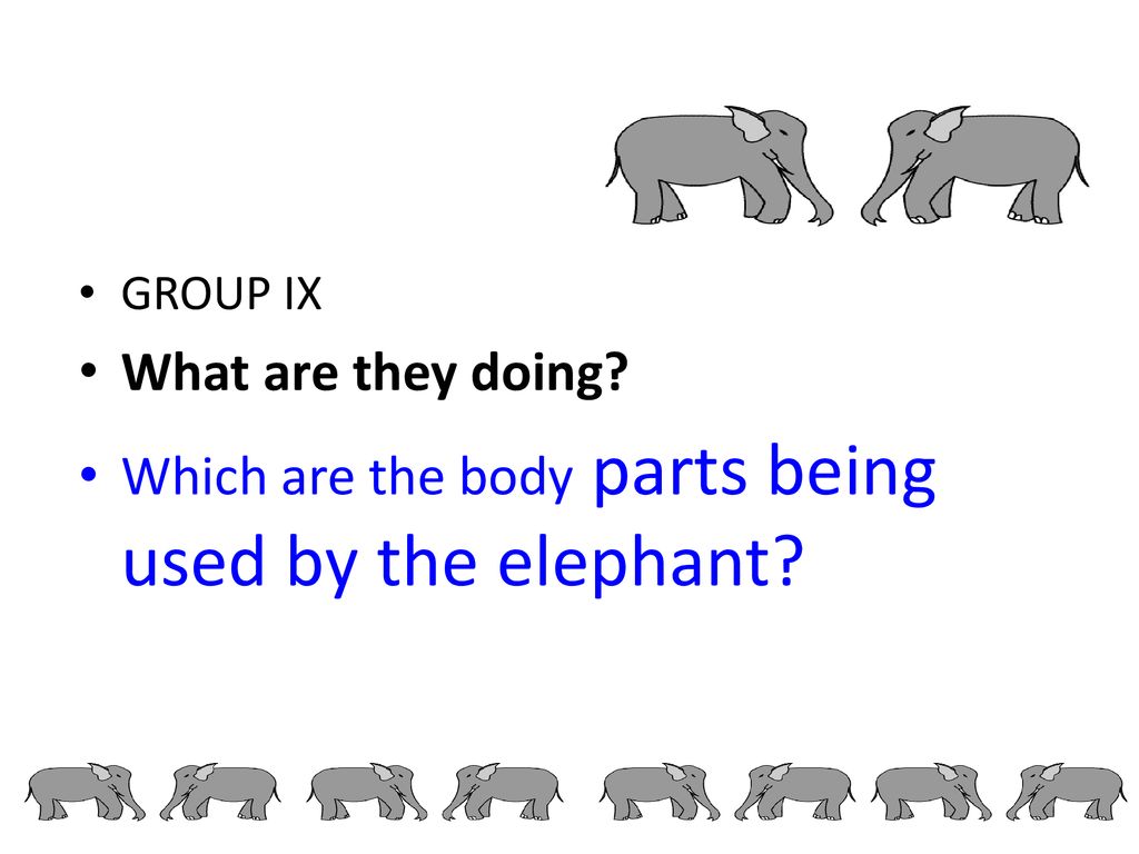 Which are the body parts being used by the elephant