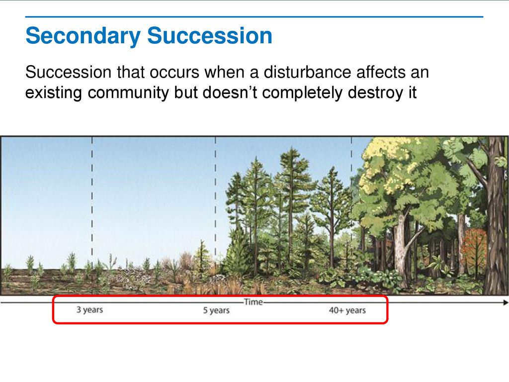 Succession Read the lessons title aloud.. - ppt download