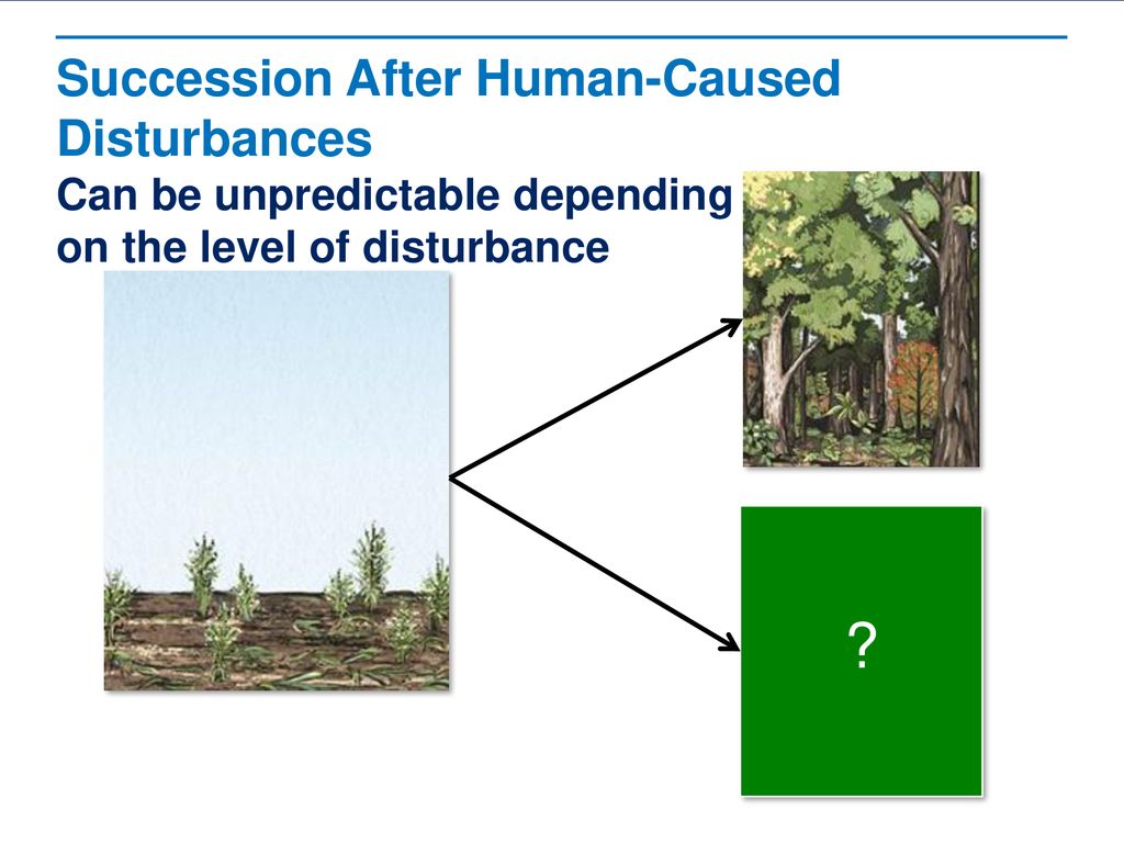 Succession Read the lessons title aloud.. - ppt download
