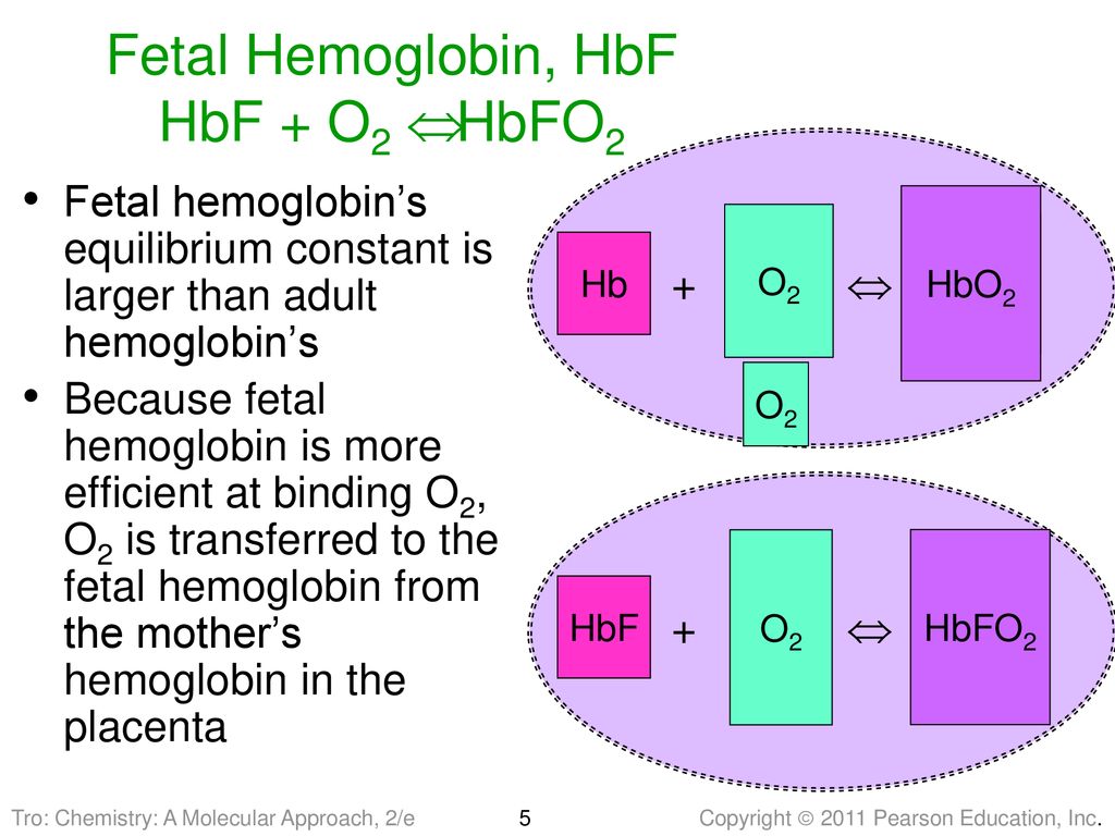 Chapter 14 Chemical Equilibrium Ppt Download