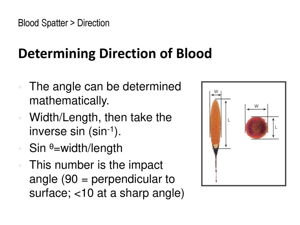 Blood Spatter Velocity and Angle. - ppt download