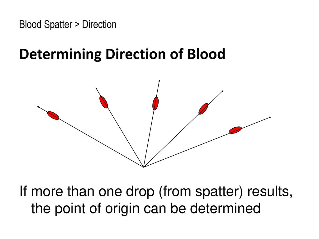 Blood Spatter Velocity and Angle. - ppt download