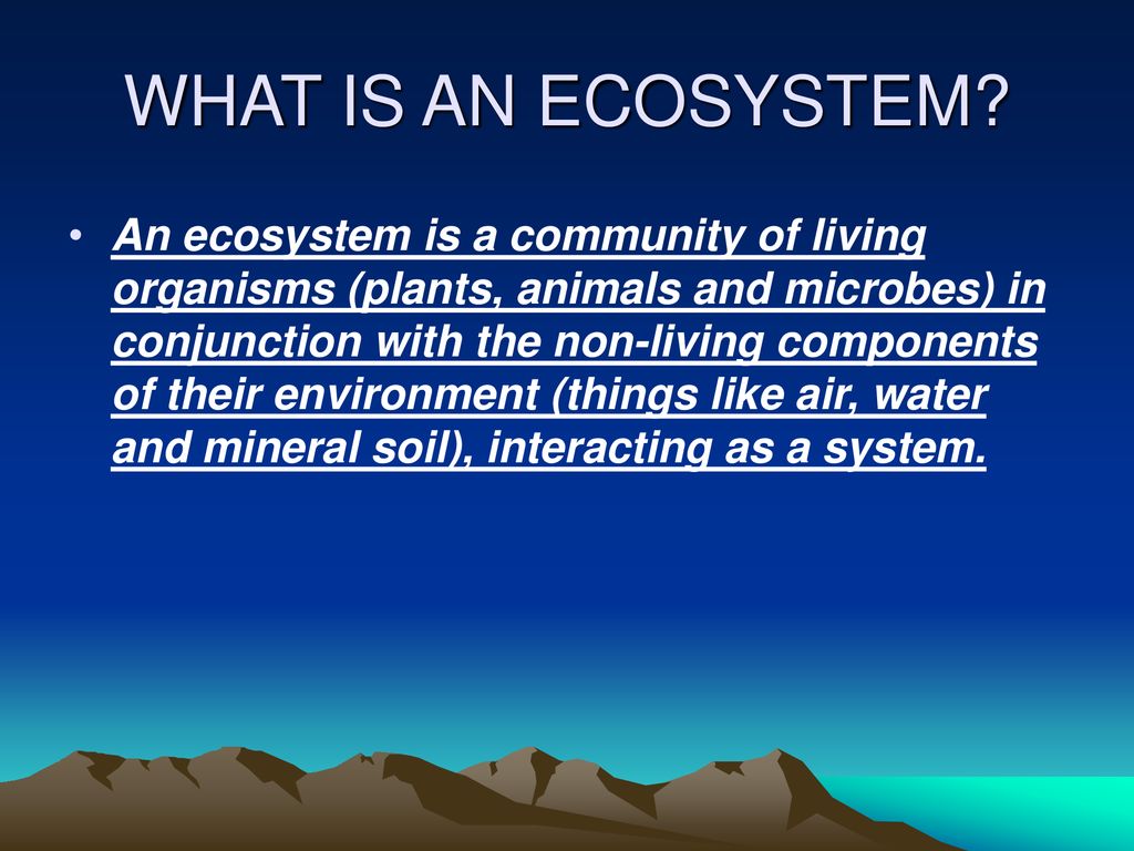 LIVING THINGS IN AN ECOSYSYTEM - ppt download