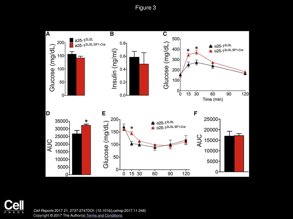 Figure 3 α2δ-12L/2L:SF1-Cre Mutant Mice Exhibit Deficits in Glucose Homeostasis.