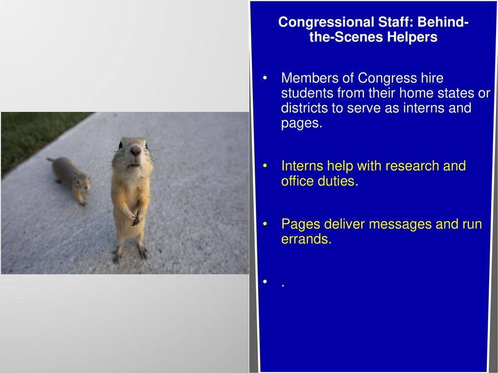 U.S. Congress. - Ppt Download