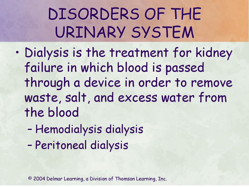 DISORDERS OF THE URINARY SYSTEM