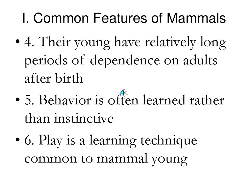 PRIMATES. - ppt download