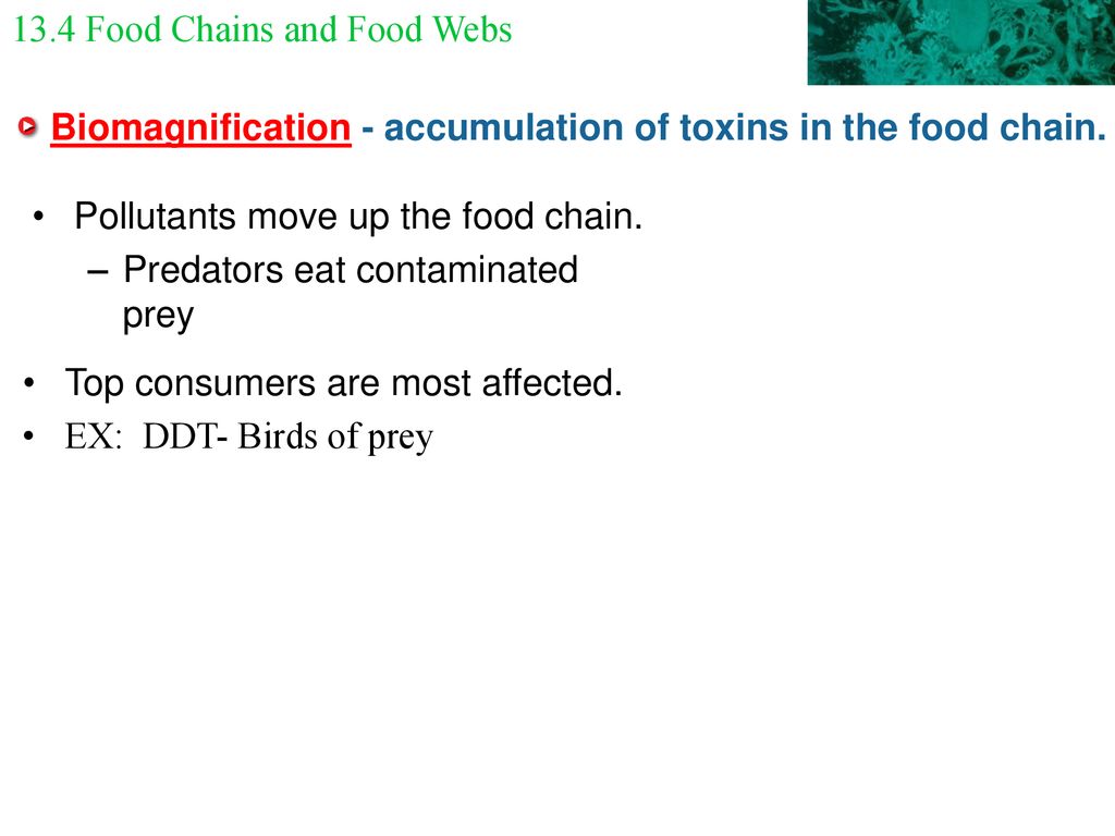Levels of Organization Biology Diagrams