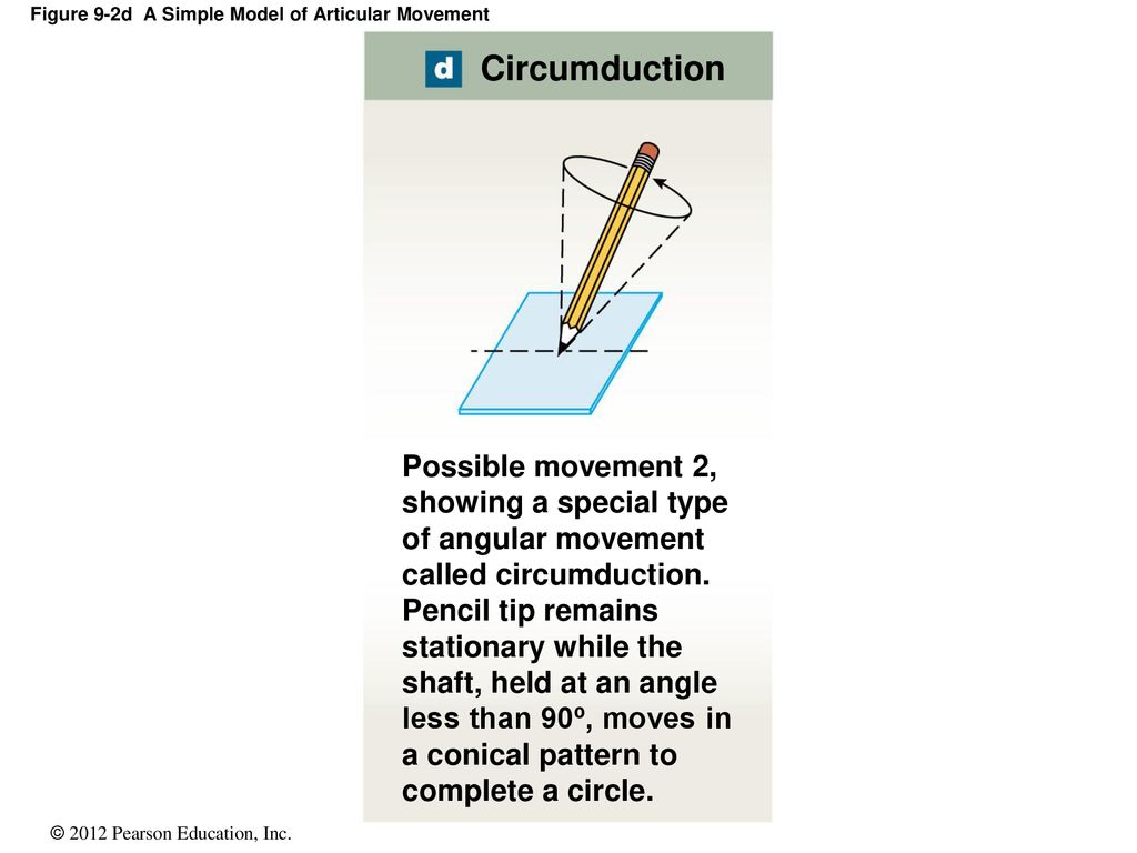 9 Articulations. - ppt download