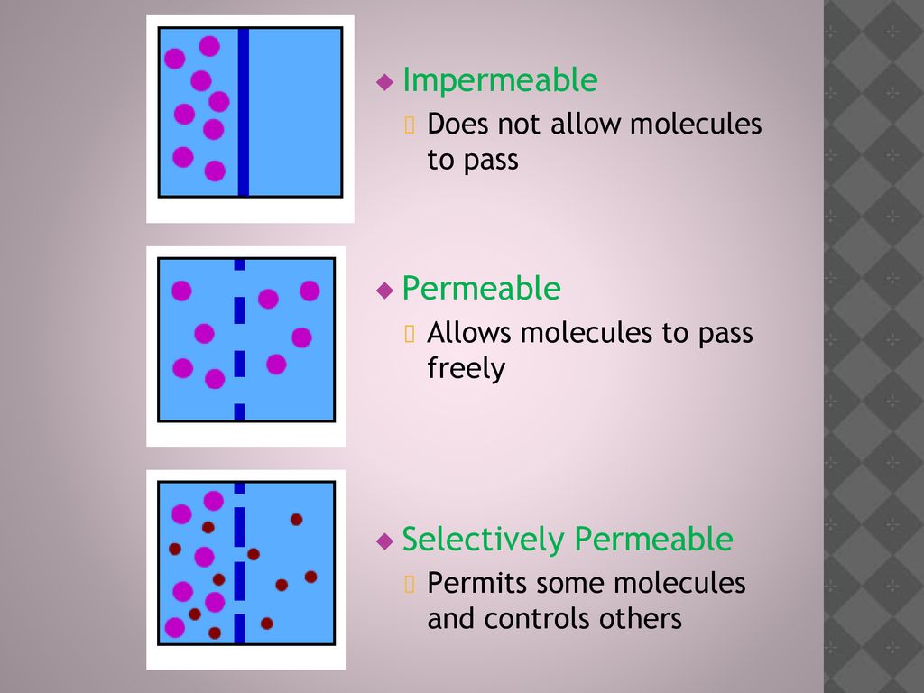 Transportation Of Substances Across A Cell Membrane Ppt Download transportation-of-substances-across-a-cell-membrane-ppt-download