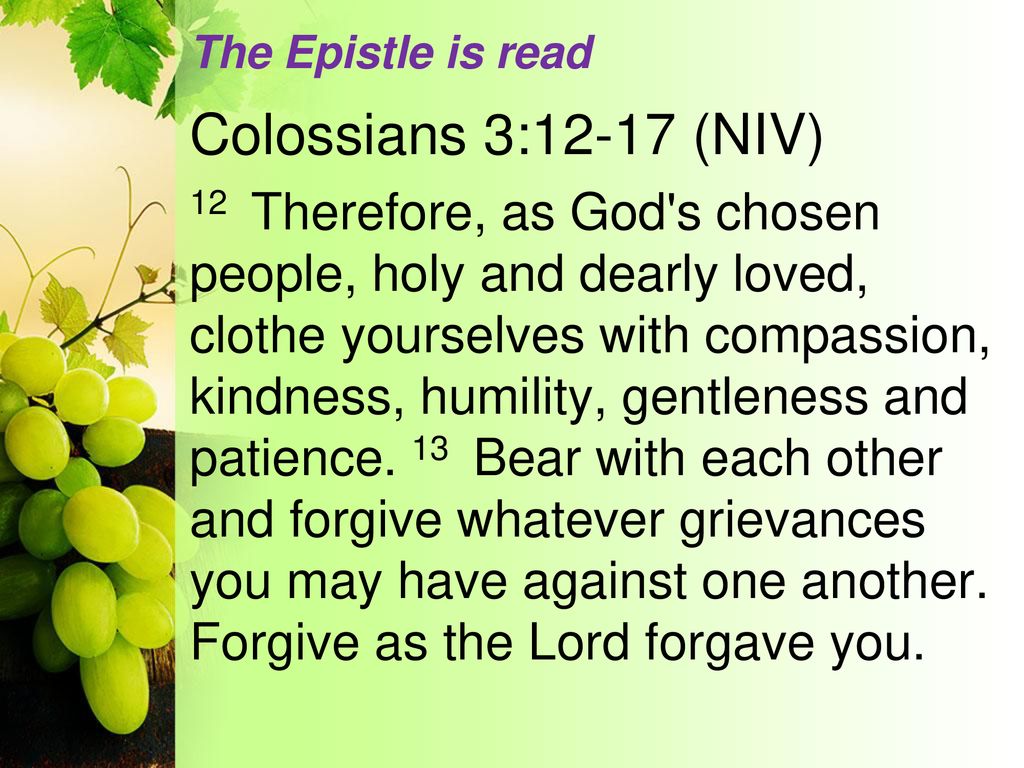 The Epistle is read Colossians 3:12-17 (NIV)
