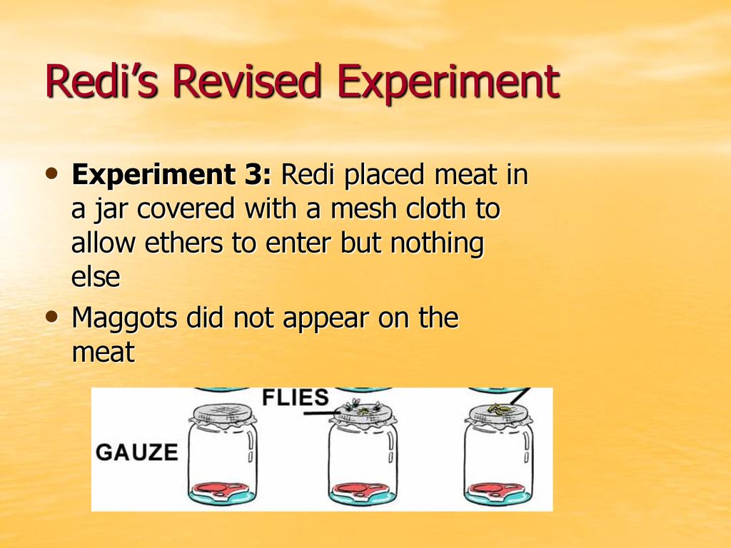 Redi’s Revised Experiment