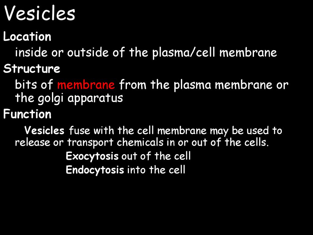 a-look-at-cells-the-smallest-unit-of-life-that-can-carry-out-all-the