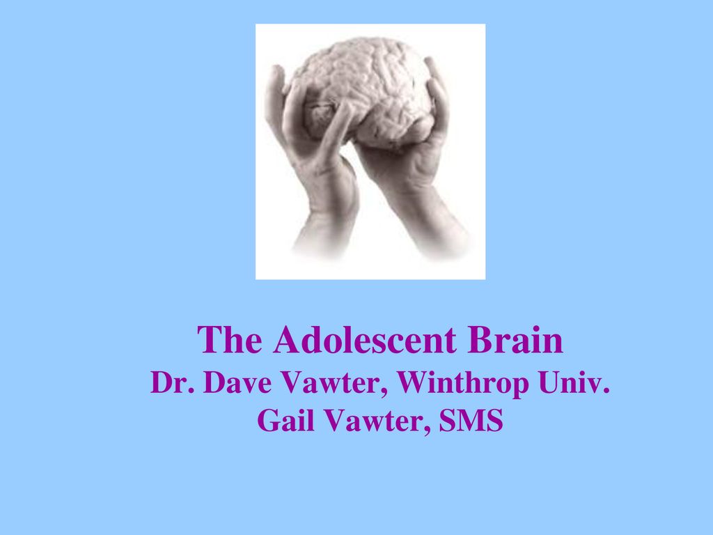 The Adolescent Brain Dr. Dave Vawter, Winthrop Univ. Gail Vawter, SMS