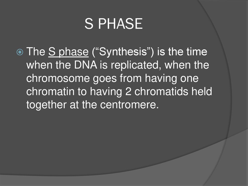 The process of cell replication Biology Diagrams