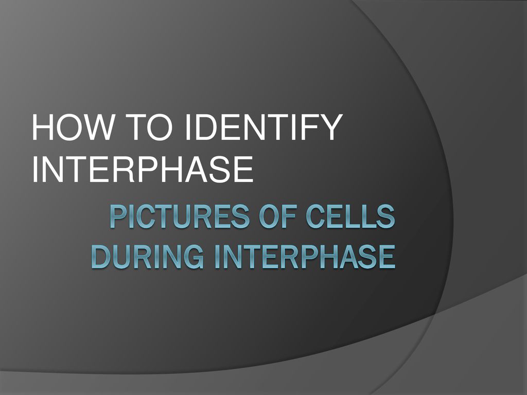 The process of cell replication Biology Diagrams
